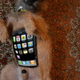 Illustration for article titled How to Do a Fake iPhone 2 In Five Easy Steps